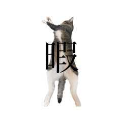 arisa_20250821115056