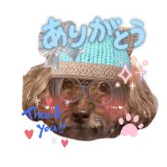 Momo3030_20250821202347