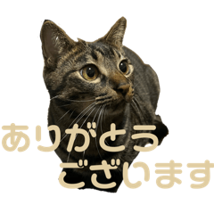 rei_20250822092740