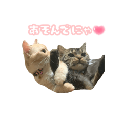 eriri_20250822002247