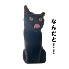 torakiti_20250821180330