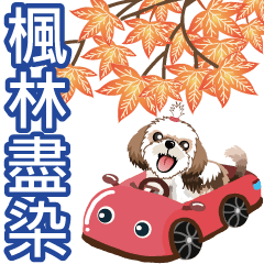 西施迪迪-花卉成語(諧音梗)篇