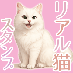 リアル猫スタンプ！ネコ CATS