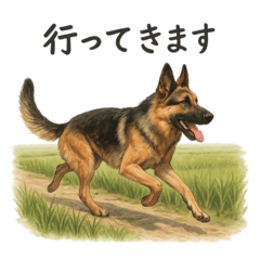 のん　ジャーマンシェパード　【A】 2026 30x30 G．Shepherd | 伊東屋オンラインストア