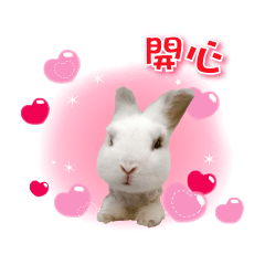 猴子的球球