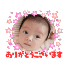 た⭐︎からもの