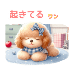 chika_20250820155354