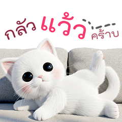 "Taohoo" the white cat, meow meow.