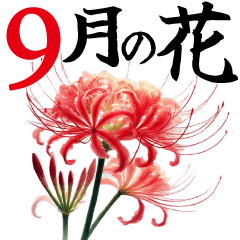 9月 秋の花 大きくて見やすい挨拶スタンプ