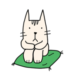 Poker-faced Cat Willow