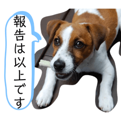 kiki_20250822074557