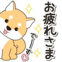 やさしい赤柴『仕事＆連絡』