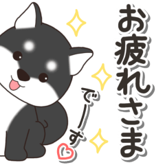 やさしい黒柴『仕事＆連絡』