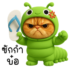 Caterpillar Cat (Kum-muang)