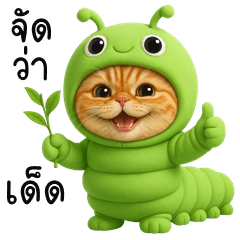 Caterpillar Cat (THAI)