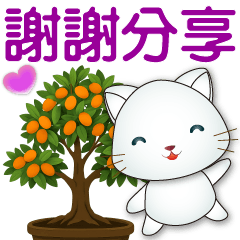 可愛白貓⭐實用問候語貼
