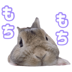 kiki_20250822125314