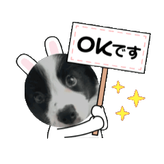 ALISA_20250822163306