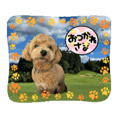 mikarin_20250822163913