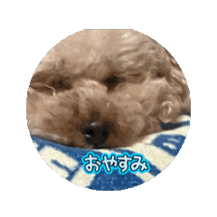 emi_20250822184813