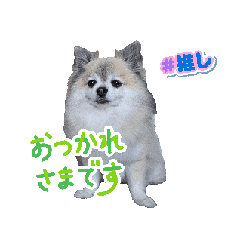 Chie_20250822224413