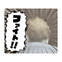 Haruka_20250822222551