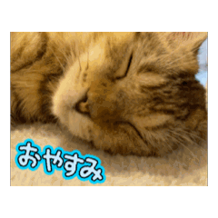 you_20250823101500