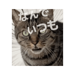 yumi_20250823090240