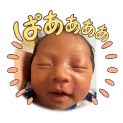 Ohagi_20250822132649