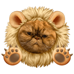 Annie_20250822132138