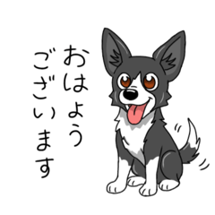 kinako_20250822134139