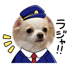 chi_20250822090517