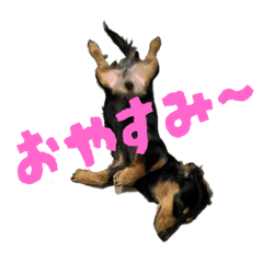 m_20250822123204