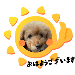 kana_20250822142253