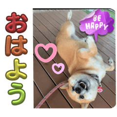 KANA_20250822152620