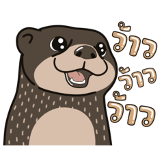 Little Miki- Newbie Cute Otter