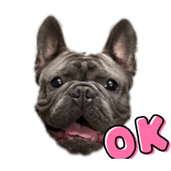 弟弟小寶啊啊啊