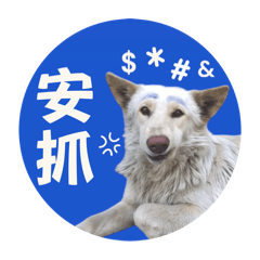 不是大頭，是角頭