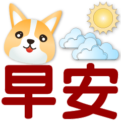 可愛柯基⭐ 實用日常用語