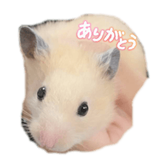 yuffy_20250822175505