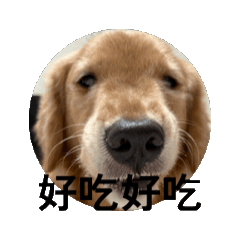 動動小胖萱