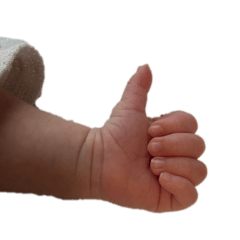 Osarun_20250822162229