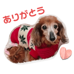 cherry_20250822170408