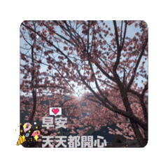 老人問候7
