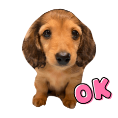 cherry_20250822170840