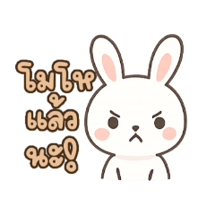 Cute little bunny every day