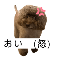 Momo3030_20250822190819