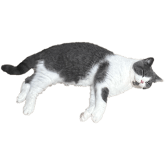 HIKARI_20250822191147