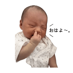 sakura_20250822183751