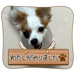 emily_20250822202413